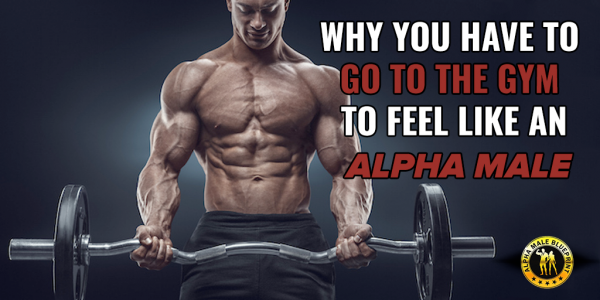 Why You Need To Go To The Gym To Be An Alpha Male
